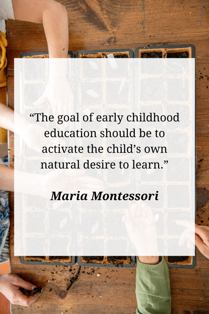 Montessori Quotes