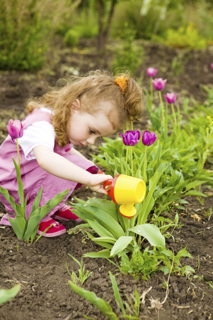 Toddler Fine Motor Skills