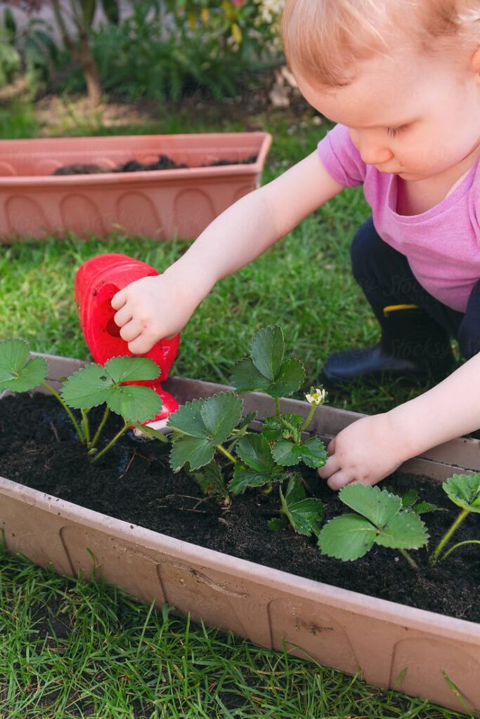 The Montessori Method of Education